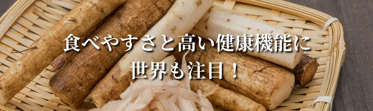 ごぼう