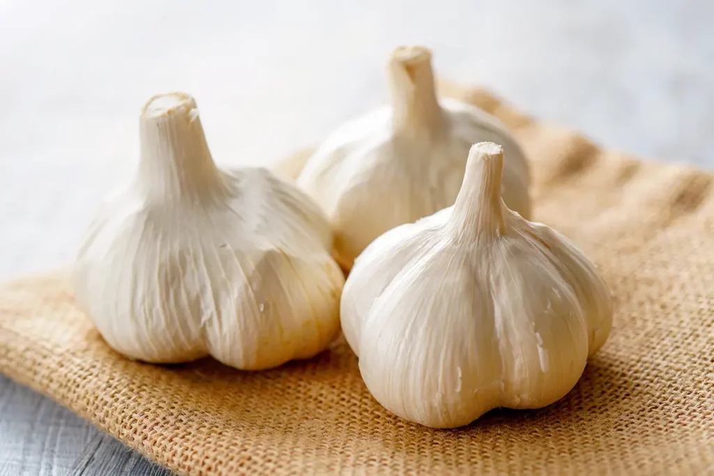 にんにく | (有)柏崎青果【公式】｜青森の黒にんにくと野菜加工品